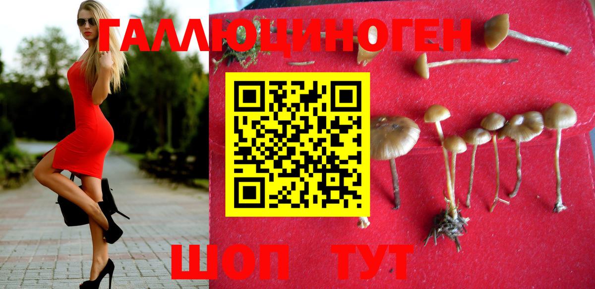 Тольятти  Псилоцибиновые грибы GOLDEN TEACHER  что такое наркотик  Вход с VPN  Псилоцибиновые грибы мухоморы 